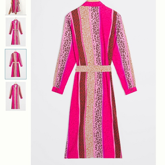 Renela Leopard Animal Cat Striped Boho Peasant Hipster Hippie Art Farm Hip Dress - Picture 2 of 4